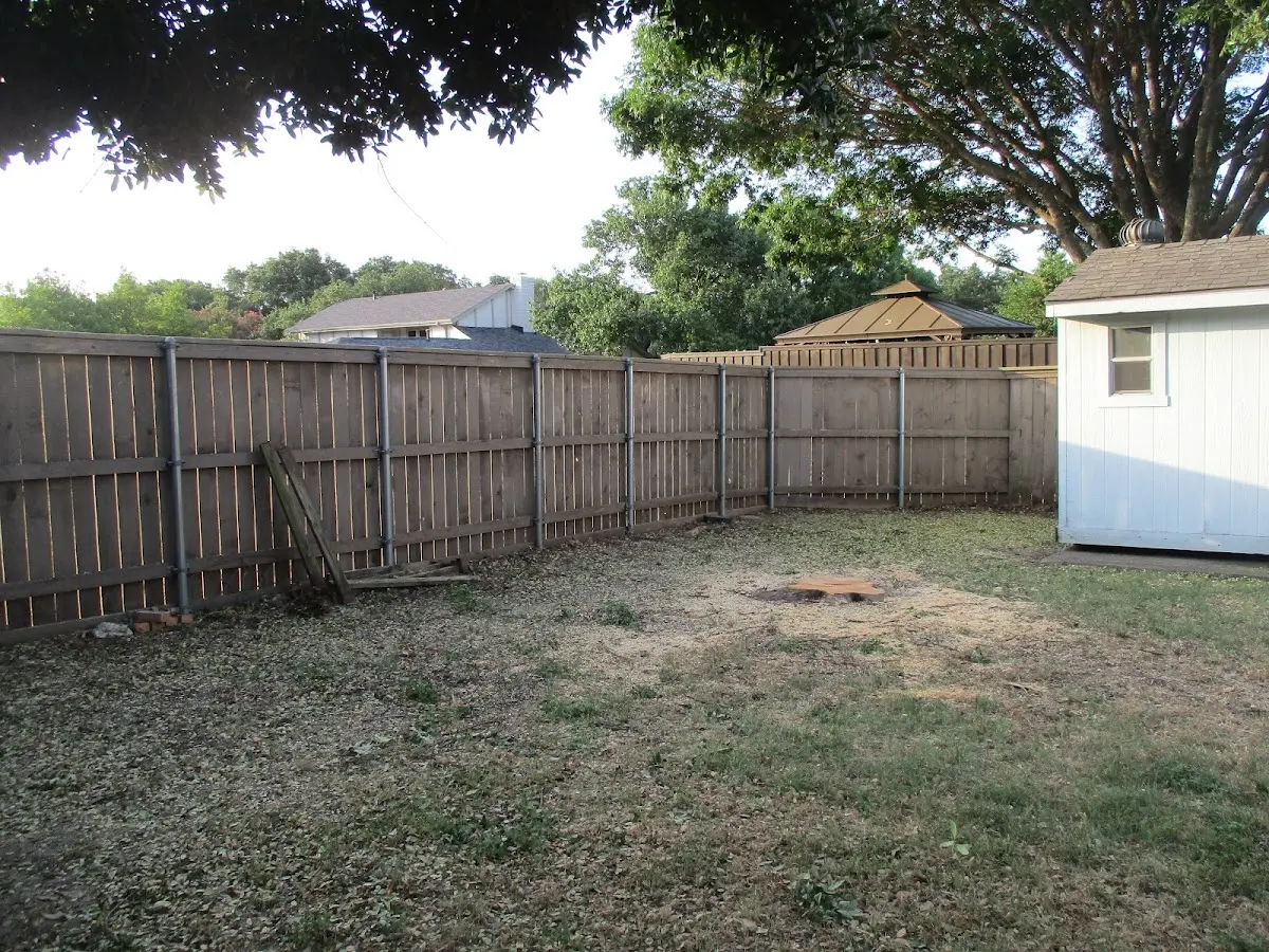 Cleared yard after professional tree removal in Thornton